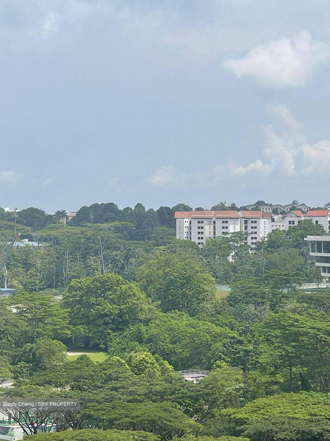 Westwood Residences (D22), Condominium #430223361